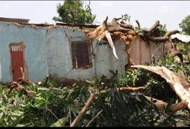 Heavy windstorm leaves many families stranded