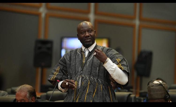 Gambian delegation champions climate action, agricultural reform at Pan-African parliament