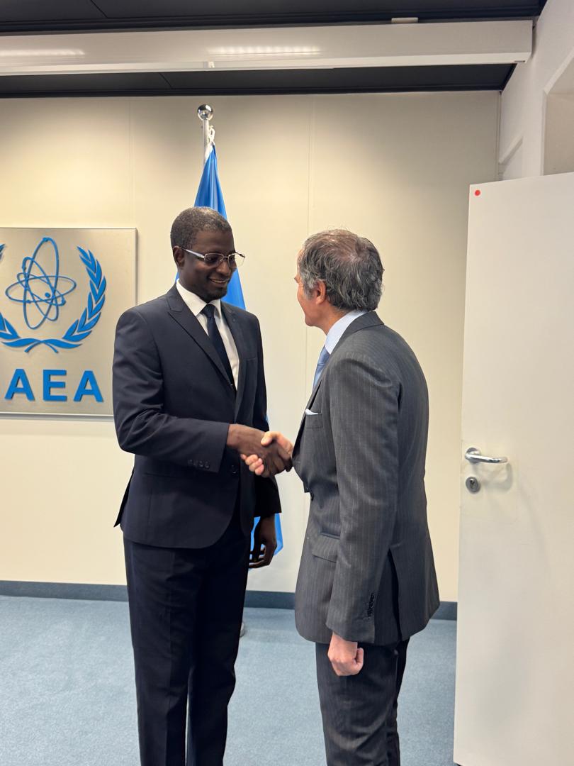 IAEA DG receives Deputy Speaker Njie in Vienna