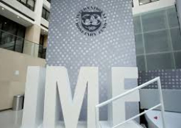 IMF logo