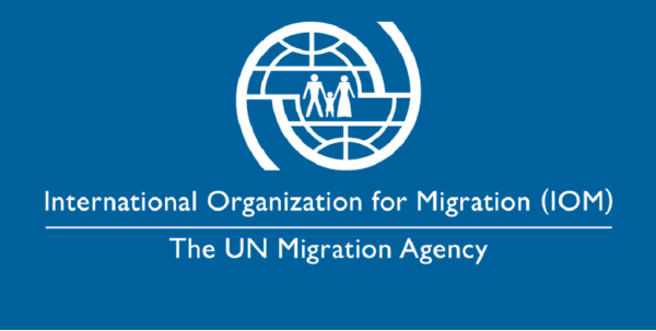 IOM Facilitates Voluntary Return of 148 Gambians from Libya, 45 from ...