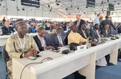 Gambia pulls out from ITU elections, backs Zimbabwe