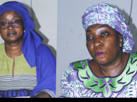 Gov’t moves to diversify Gambia’s tourism products