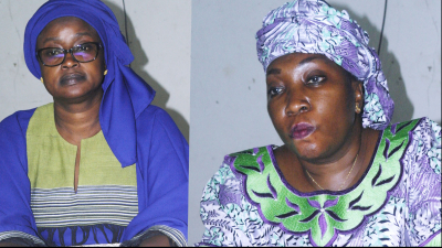 Gov’t moves to diversify Gambia’s tourism products