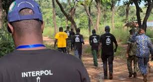 Interpol targets illegal mining in Gambia