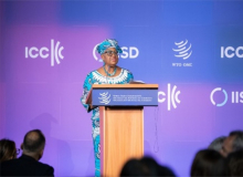 WTO delivers sustainable benefits to businesses and households around the world