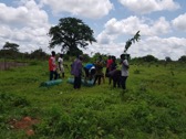 Jali plants over 2000 trees to combat deforestation, climate change