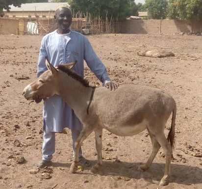How Nafa helps farmer venture into animal husbandry