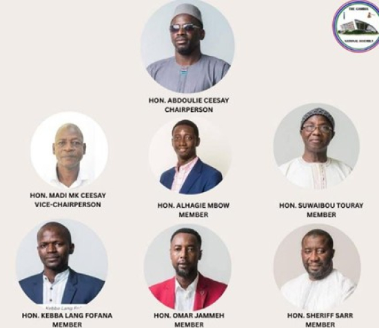 Jammeh assets committee