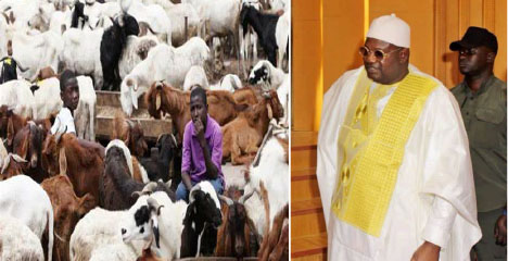 Jawara distributes 180 rams worth D4M to Muslims