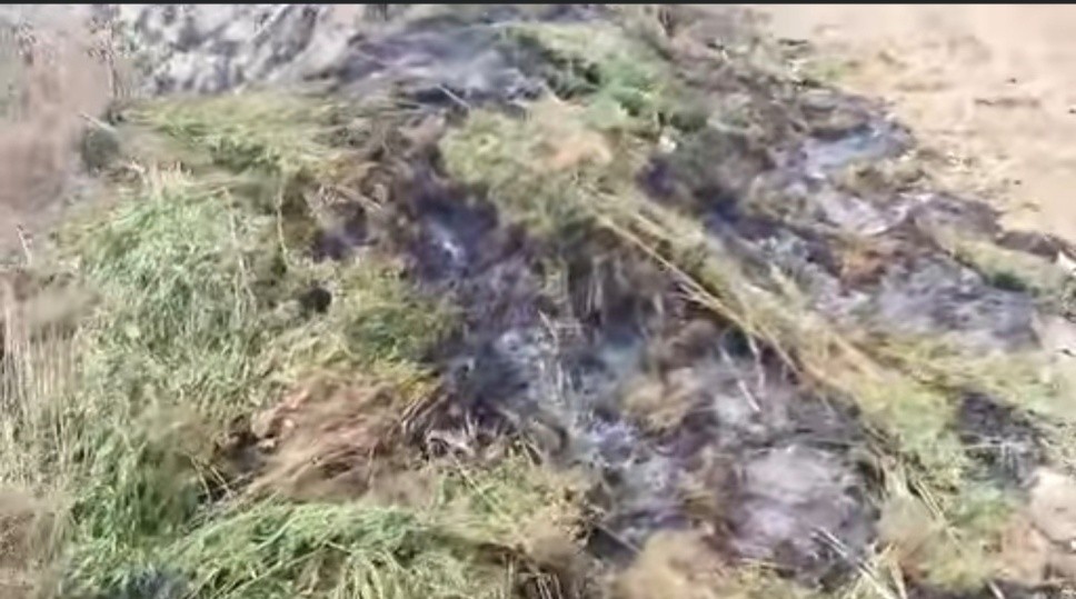 DLEAG, police storm Jinack, destroy cannabis farms