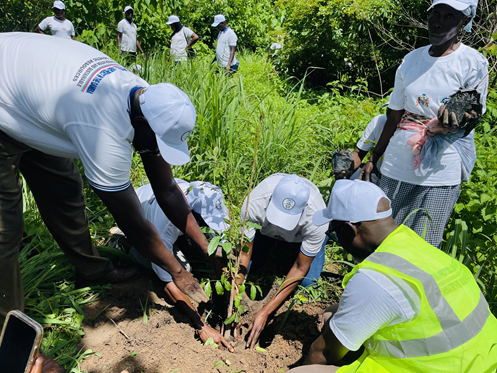 Stakeholders plant over 600 tree species at Kabafita Forest