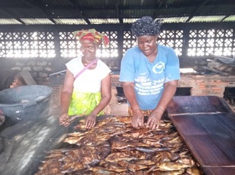Kartong fish processors appeal for storage facility