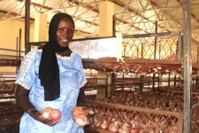 ‘WACOMP program has greatly enhanced onion production in Gambia’