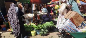 Kiang Joli gardeners appeal for storage
