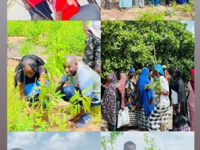 Kombo East Alkalos Association, AESSA partner for major tree-planting exercise at UTG