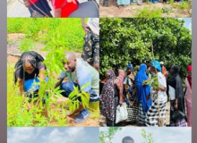 Kombo East Alkalos Association, AESSA partner for major tree-planting exercise at UTG