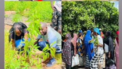 Kombo East Alkalos Association, AESSA partner for major tree-planting exercise at UTG