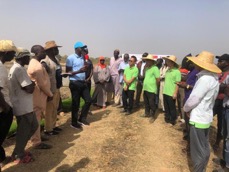 LPHT MD on feasibility of mechanised rice production in Gambia 