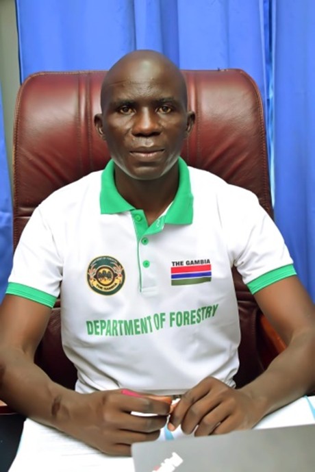 Forestry Director issues stern warning over deforestation