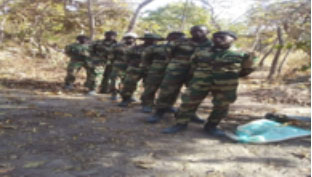 MFDC parades 2 captured ECOMIG soldiers, denies torture
