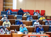 MP demands President go beyond NAWEC bosses to uncover power crisis