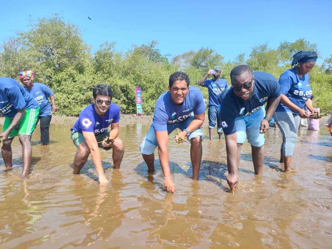 Celebrating Silver Jubilee: Africell plants 9000 Mangrove trees at Sanyang