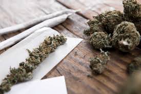 ‘Marijuana most used illicit substance in Gambia’