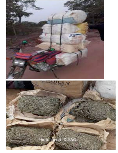 DLEAG arrests 633 people with drug related cases