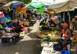 Market Vendors