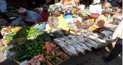 Gambians call on President-elect to act on market food prices 