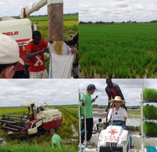 Maruo Farms lauds China-Aid intervention as breakthrough