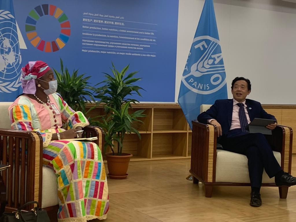 FAO DG, Minister Fabureh share vision on improving agriculture