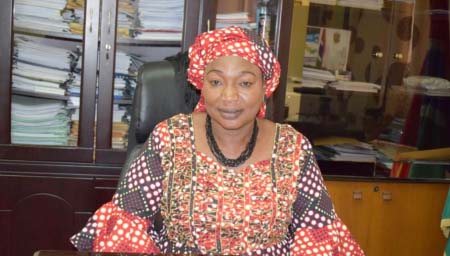 Minister drums up support for Gambian farmers