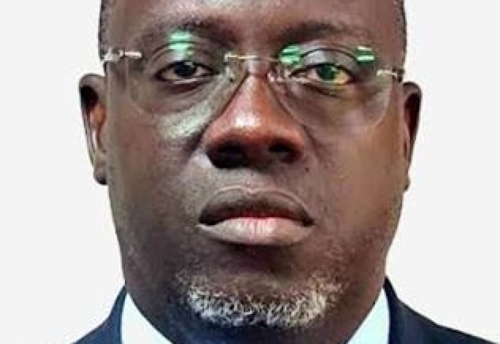 Trans-Gambia economic zone set to create 3,400 jobs as investor interest grows