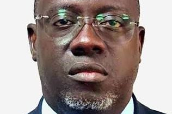 Trans-Gambia economic zone set to create 3,400 jobs as investor interest grows