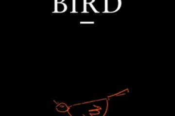 To Kill A Mocking Bird 