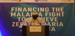 African leaders discuss  on financing malaria