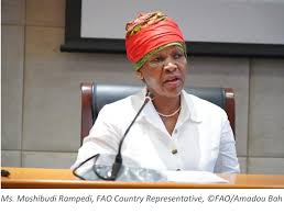 Fisheries sector produces 171M tons in 2016- FAO country rep.