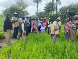 Agriculture senior management concludes joint field assessment tour