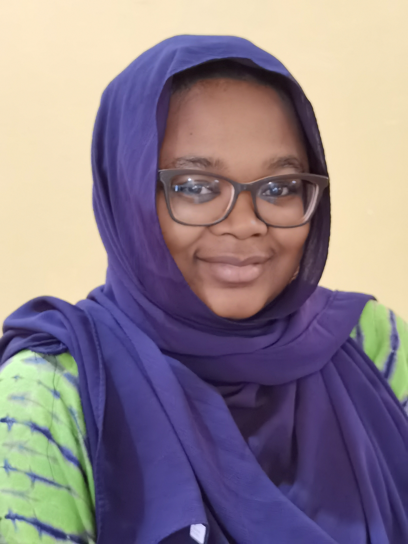 Gambian Women want more leadership roles in politics