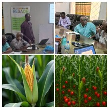 NARI field trials confirm effectiveness of Natural Clean Bio Fertilizer