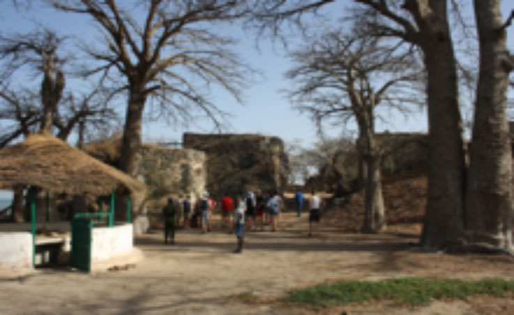 Le journal New York Times inclut l’Ile de Kunta Kinteh dans une liste de 52 endroits à visiter en 2022 pour les voyageurs