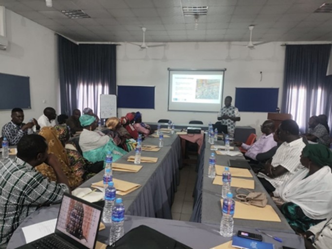NaNA urges Gambians to embrace diversified diets for better health