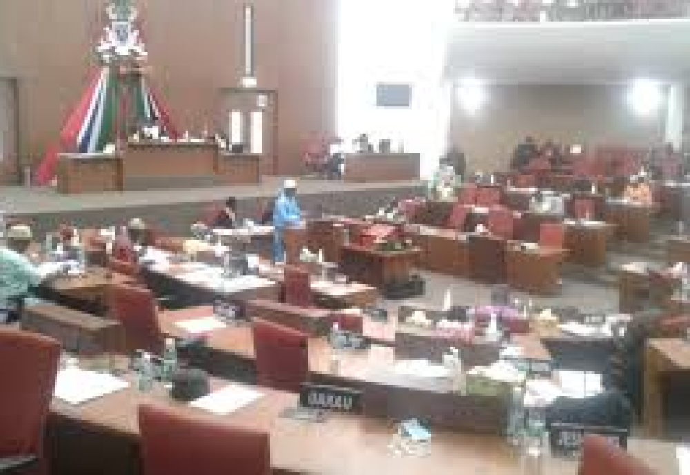 Gambia, Gabon agree diplomatic visa free