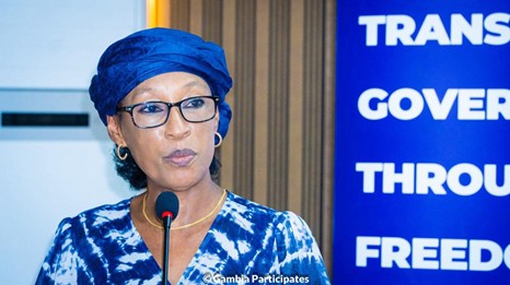 Public institutions urged to designate information officers