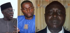 Widow of Solo Sandeng in shock over FTJ, Seedy Njie