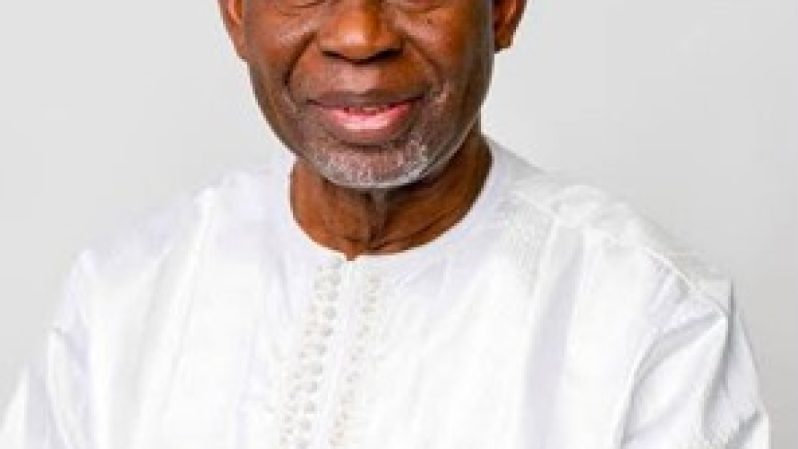 Darboe vows to put Gambia back on track, cut waste, revive agric &amp; fisheries