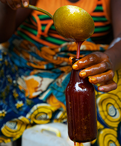 COVID-19: Palm oil price skyrocking as vendors blame it on lack of price regulation