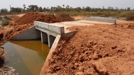  ‘Agriculture doesn’t stop in crop, livestock production’